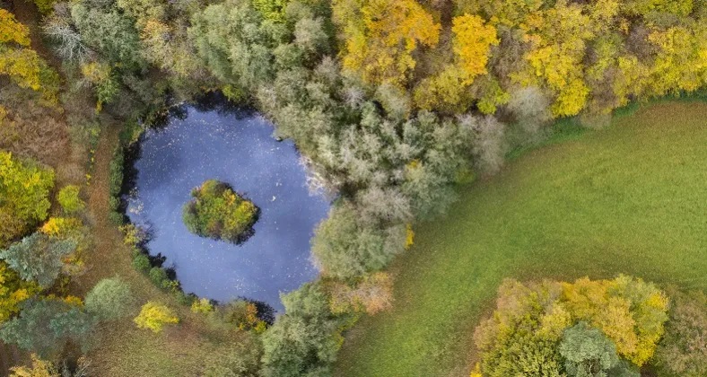 Ringförmiger Teich von Laubwald umgeben © iStock Collo Symbolbild Biotopverbund, Ringförmiger Teich von Laubwald umgeben.