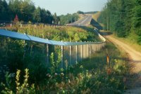 Wildschutzzaun Wildschutzzaun